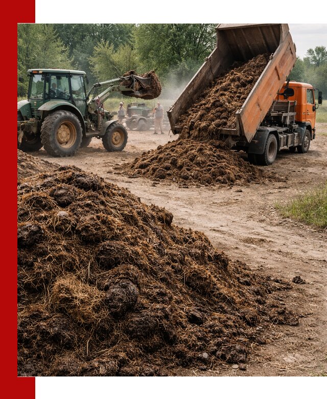 Доставка навоза самосвалами в Новодвинске для сельхозпотребностей